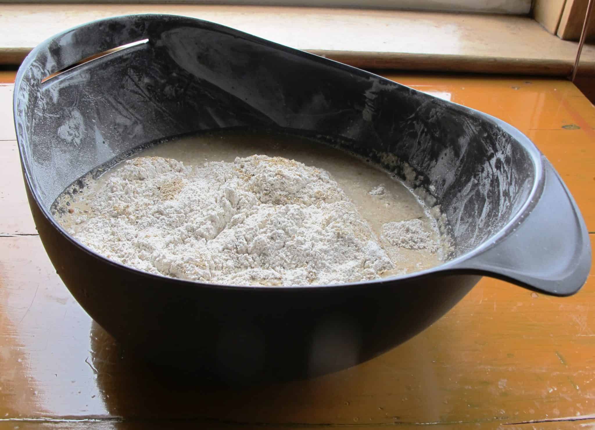 Lekue Sourdough preparation bread jars 700 ml with a spatula 3 el.